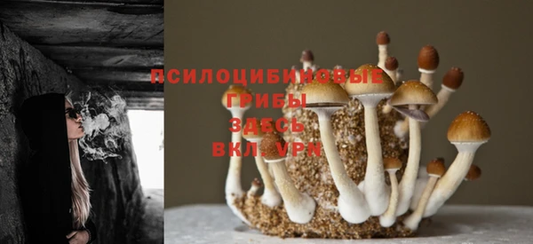 мяу мяу кристалл Богородицк